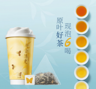 将来正在项目市场运营